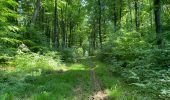 Trail Walking Fleury - en Forêt de Retz_92_05_2022_Rond d'Orléans_Chapeau des Cordeliers_la Laie des étangs de Longpont - Photo 16