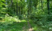 Excursión Senderismo Fleury - en Forêt de Retz_92_05_2022_Rond d'Orléans_Chapeau des Cordeliers_la Laie des étangs de Longpont - Photo 16