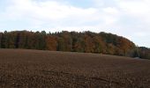 Excursión A pie Oberembrach - Ober Mettmenstetten - Embrach Oberdorf Bus - Photo 1