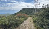 Trail Walking Néoules - Neoules crête 19,5 km - Photo 8