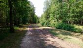 Trail Walking Morand - Morand - Dame-Marie-les-Bois Autrèche - 22.2km 150m 5h00 (35mn) - 2023 06 21 - Photo 6