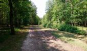 Tour Wandern Morand - Morand - Dame-Marie-les-Bois Autrèche - 22.2km 150m 5h00 (35mn) - 2023 06 21 - Photo 6