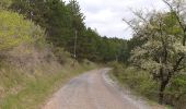 Tour Wandern Villeneuve-de-Berg - la forêt des sens Villeneuve de Berg  - Photo 2