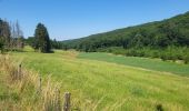 Trail Walking Assesse - Sart Bernard 010725 - Photo 19