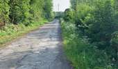 Trail Walking Anderlues - Balade Lobbes-Thuin-Anderlues  - Photo 5