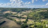 Tour Wandern Mâlain - Malain - Photo 14