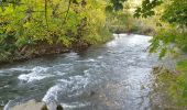 Tocht Stappen Ham-sur-Heure-Nalinnes - Du Pré al Roch au hameau l'Amérique - Photo 5