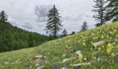 Tour Wandern Beauvezer - Villard Heyssier_ gorges st Pierre_pont d'Ondres - Photo 2