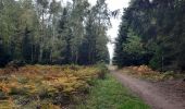 Trail Walking Theux - gervova . chemin du ninglinspo . chifgotte . charmille . gervova - Photo 13