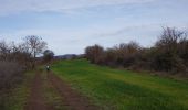 Trail Nordic walking Octon - Octon Dolmens de Toucou - Photo 13