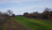 Excursión Marcha nórdica Octon - Octon Dolmens de Toucou - Photo 13