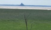 Tour Wandern Genêts - Genêts - la pointe du groin sud - Photo 5