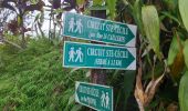 Tour Wandern Le Morne-Rouge - Morne Jacob via Morne-Rouge - Photo 2