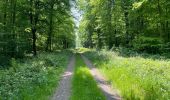 Trail Walking Noroy-sur-Ourcq - en Forêt de Retz_93_05_2022_le Bois de Cresnes - Photo 2