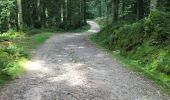 Trail Walking Vagney - La cascade du Pissoire - Photo 1