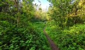 Trail Walking Braine-le-Comte - Marche Adeps à Hennuyères - Photo 3