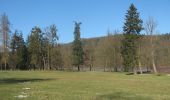 Tocht Te voet Gerstungen - Altenberger See Rundwanderweg 1 - Photo 10