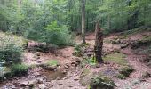 Trail Walking Spa - mon tour des sources de Spa - Photo 12