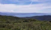 Randonnée Marche Ajaccio - Crète de la punta Lisa Antenne  - Photo 2