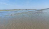Trail Walking Le Crotoy - balade baie de somme - Photo 2