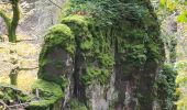 Trail Walking Oberhaslach - 2022-11-20 Marche Gensbourg Nideck - Photo 1