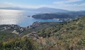 Tour Wandern Cerbère - Cerbère-Port Bou -Colera - Photo 8