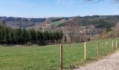 Trail Walking Malmedy - Xhoffray 230421 - Photo 4