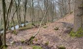 Tour Wandern Gesves - Balade des forges  - Photo 3