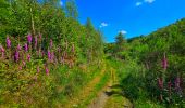 Trail Walking Bouillon - Balade à Ucimont - Photo 2