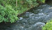 Trail Walking Sainte-Anastasie-sur-Issole - Saint Quinis - Ste Anastasie - Photo 1