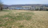 Trail Walking Schalkenmehren - Eifel Maaren - Photo 19