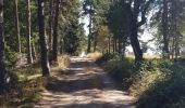 Trail Walking Chastanier - rando chastagnier chemin prive - Photo 1