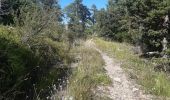 Tour Wandern Embrun - rando suf le mpny guillaume montée par le torrent de Marthe  descentr par la route forestière de bois de  Vezin   - Photo 6