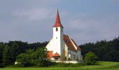 Randonnée A pied Lanzenkirchen - Heinis Ruh Runde (Lanzenkirchen) - Photo 7