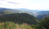 Tocht Stappen Lepuix - Ballon d'Alsace par la cascade du Rummel - Photo 11