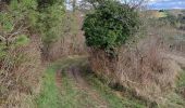 Randonnée Marche Coursac - boucle du rosier marche bleue - Photo 15