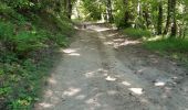 Trail Walking Saint-Fortunat-sur-Eyrieux - 07 st fortunat dubieres st Vincent dufort - Photo 1