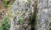 Tour Zu Fuß Velburg - Lengenfeld - Tropfsteinhöhle - Photo 1