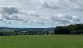 Excursión Senderismo La Roche-en-Ardenne - Transardennaise 1 - Photo 8