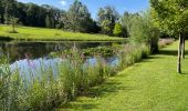 Randonnée Marche Seneffe - BE-Seneffe - Ancien Canal Charleroi - Bruxelles - Château - Photo 10