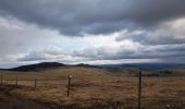 Tour Wandern Borée - mont Mezenc - Photo 1