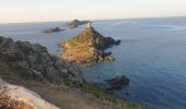 Randonnée Marche Ajaccio - Les iles Sanguinaires. Corse - Photo 16