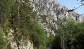 Percorso A piedi Admont - Der wilde John - Sagenweg - Photo 3