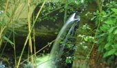 Trail On foot Rozendaal - Dwars door Gelderland (14) - Photo 8