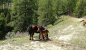 Tocht Stappen Tignes - Tignes vers le lac  - Photo 13