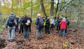 Trail Walking Fontainebleau - Croix de Toulouse 10 octobre 2023 - Photo 7