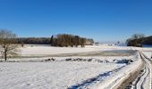 Excursión Senderismo Havelange - Méan-Maffe sous la neige... - Photo 6