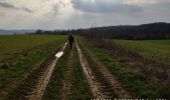 Percorso Marcia Bièvres - Bièvres France - Photo 1