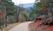 Trail Walking Plan-d'Aups-Sainte-Baume - SityTrail - La source de L' huveaune - Photo 20