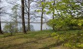 Randonnée Marche Froidchapelle - Barrage de l'eau d'heure  - Photo 3